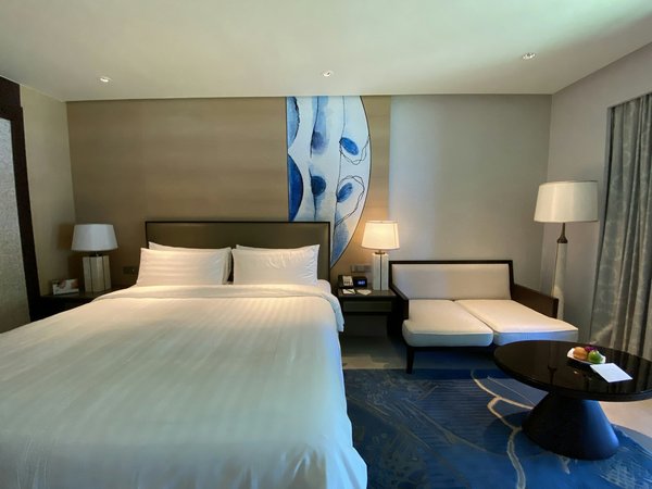 Hôtels Roissy terminal 1 : comment garantir votre voyage de Paris à Istanbul ?